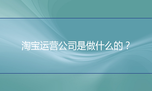 <b>淘宝运营公司是做什么的？</b>