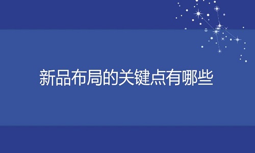 <b>淘宝代运营-新品布局的关键点有哪些?</b>