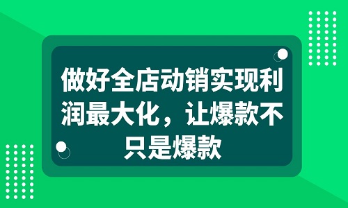 <b>做好全店动销实现利润最大化，让爆款不只是爆款</b>