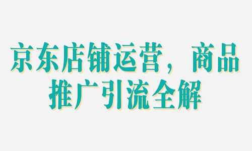 <b>京东店铺运营，商品推广引流全解</b>