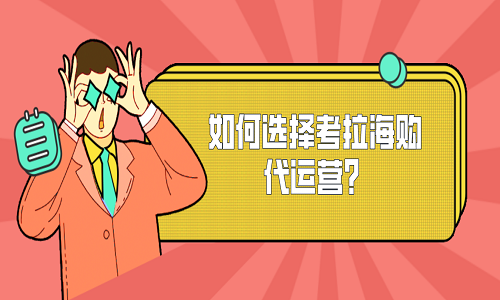 <b>如何选择考拉海购代运营?</b>