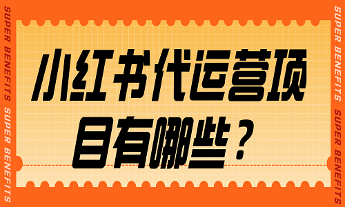 <b>小红书代运营项目有哪些？</b>