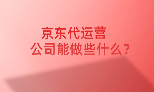 <b>京东代运营公司能做些什么？</b>