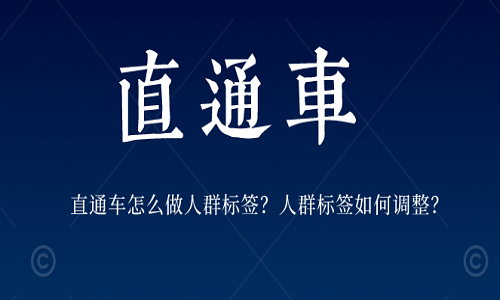 <b>直通车怎么做人群标签？人群标签如何调整？</b>