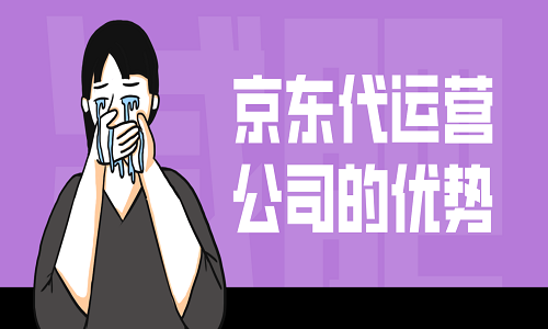 <b>京东代运营公司的优势</b>