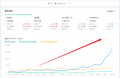 <b>实操案例分享一个月访客如何从0-10000</b>