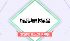 <b>直通车托管|标品在直通车当中的运营思路</b>