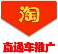 <b>淘宝代运营：正确的开车方法，从此进入车手行列！</b>