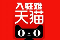 <b>天猫代运营：商家如何通过孵化入驻天猫？有什么渠道吗？</b>